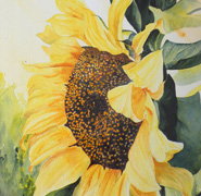 Helen Anne Hillson - Sunflower